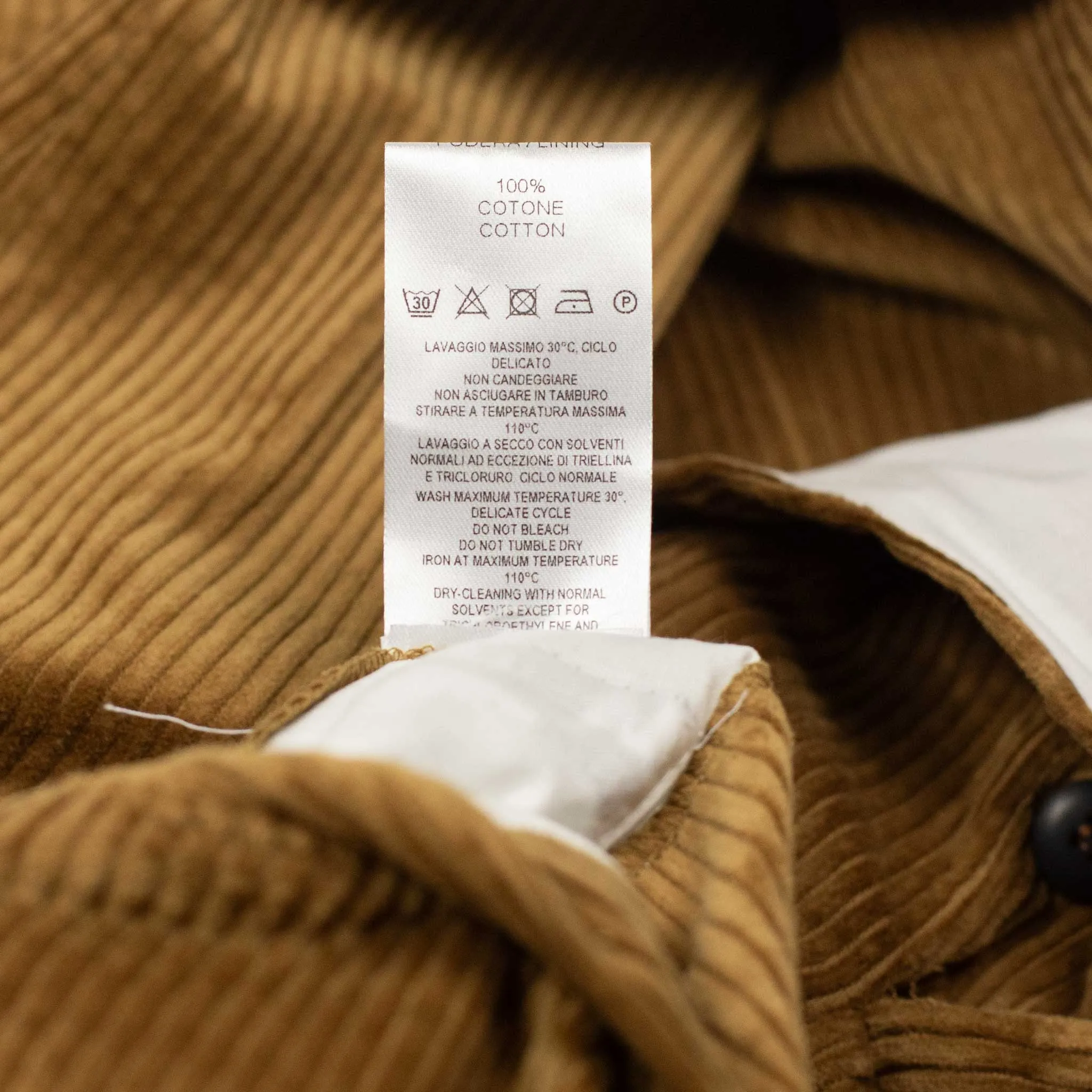 Aantioco pleated trousers in beige cotton corduroy (suit separates)